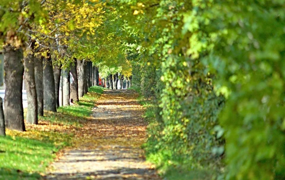 Бутиков Хотел History Haskovo Exterior foto